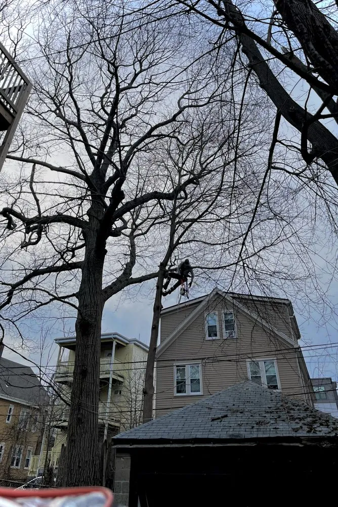 Reliable garden landscaping with custom design in Plymouth, MA by Green Arbor Tree & Property