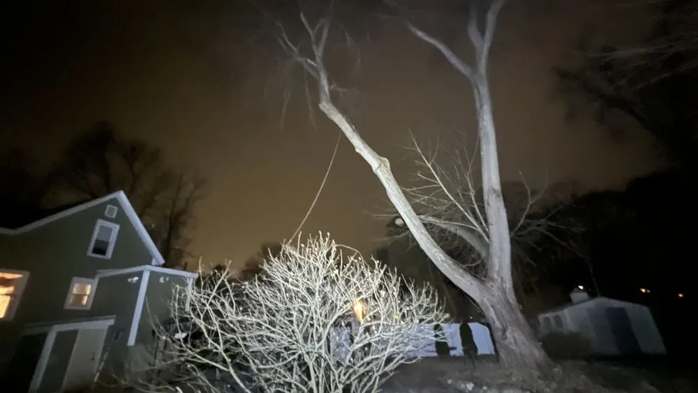 Affordable yard maintenance experts serving Plymouth, MA - Green Arbor Tree & Property