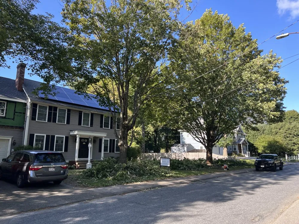 Reliable lawn mowing service in Plymouth, MA by Green Arbor Tree & Property