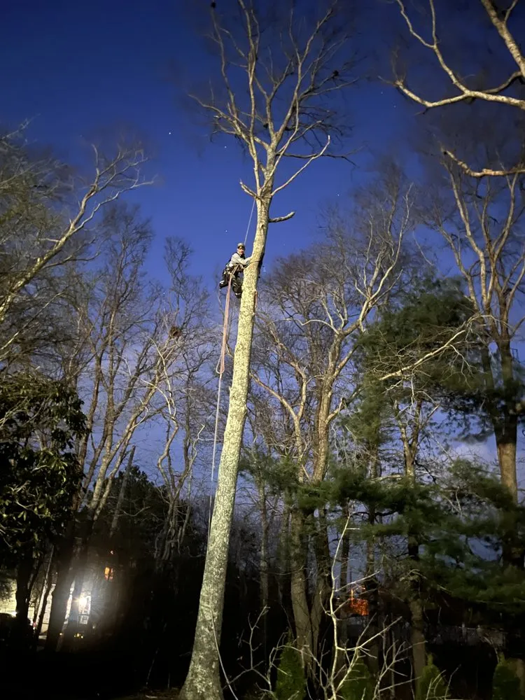 Expert garden landscaping with custom design in Plymouth, MA by Green Arbor Tree & Property