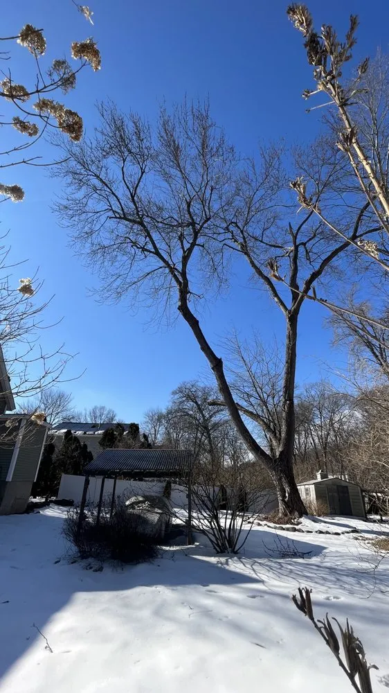 Custom outdoor landscaping in Plymouth, MA by Green Arbor Tree & Property