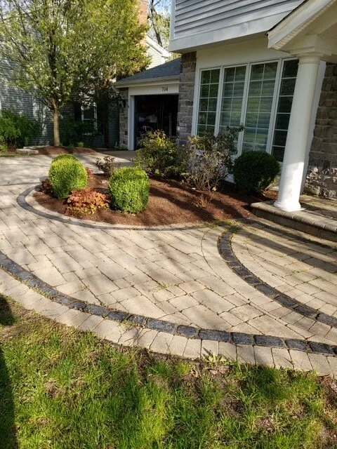 Top-rated yard cleanup service in Carol Stream, IL - Green Arias Landscaping