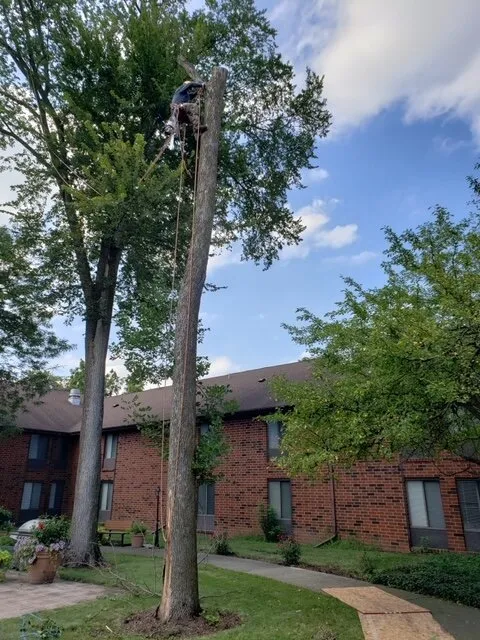 Local landscape installation in Carol Stream, IL - Green Arias Landscaping
