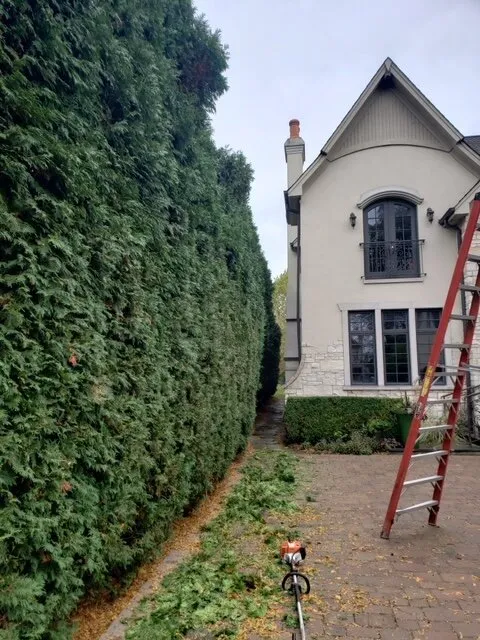 Expert garden landscaping for residential properties across Carol Stream, IL - Green Arias Landscaping