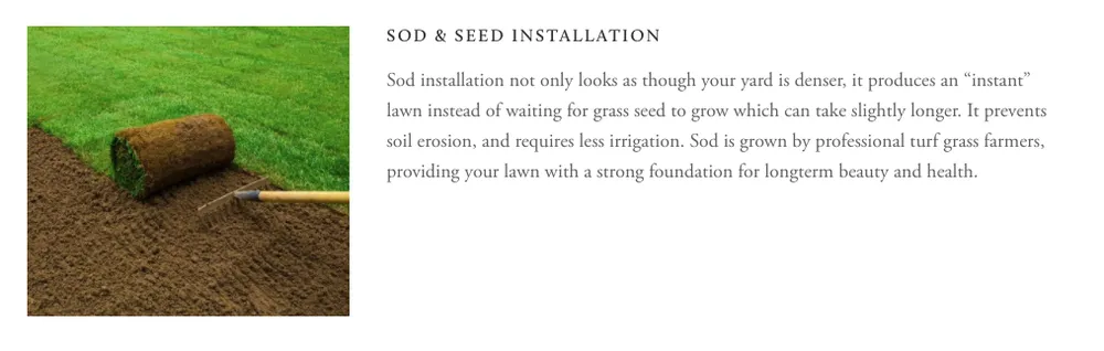 Local yard cleanup service in Carol Stream, IL by Green Arias Landscaping