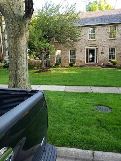 Affordable lawn mowing service in Carol Stream, IL - Green Arias Landscaping