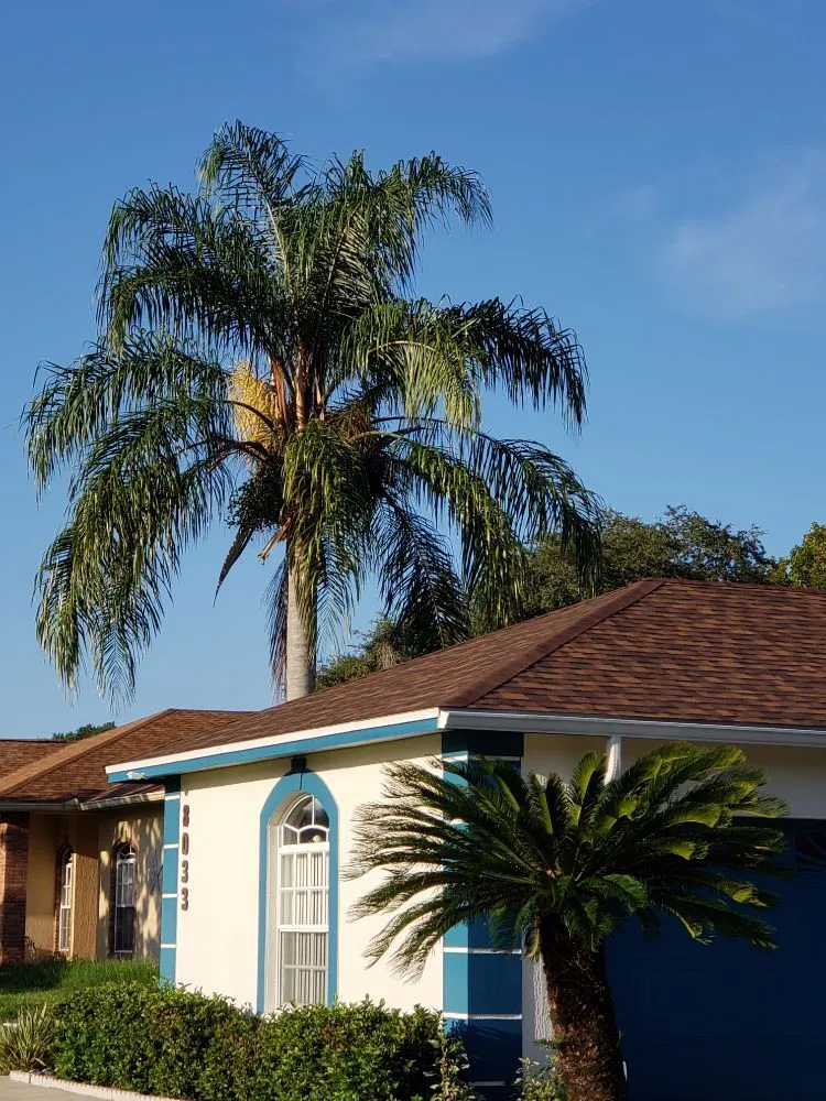 Local yard cleanup service experts serving Lakeland, FL - Green Arrow Irrigation and Landscaping