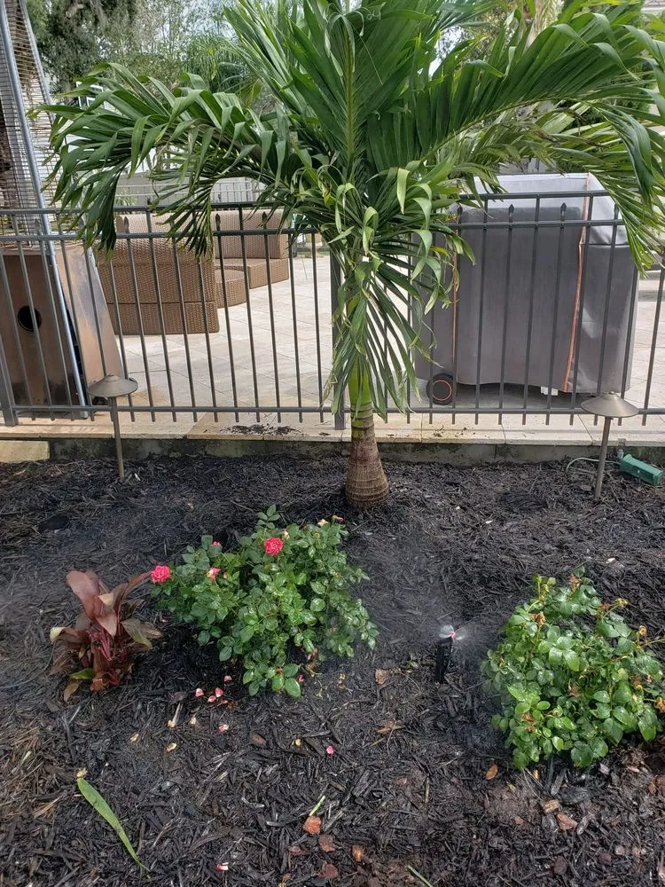 Custom yard maintenance in Lakeland, FL by Green Arrow Irrigation and Landscaping