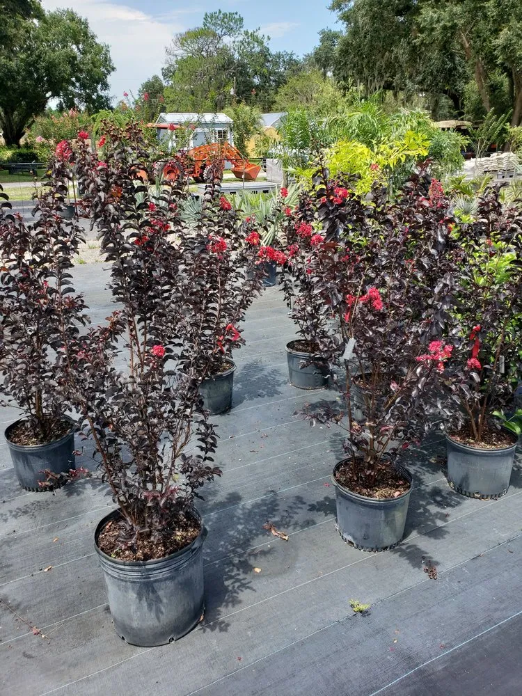 Trusted landscaping services for beautiful yards across Lakeland, FL - Green Arrow Irrigation and Landscaping