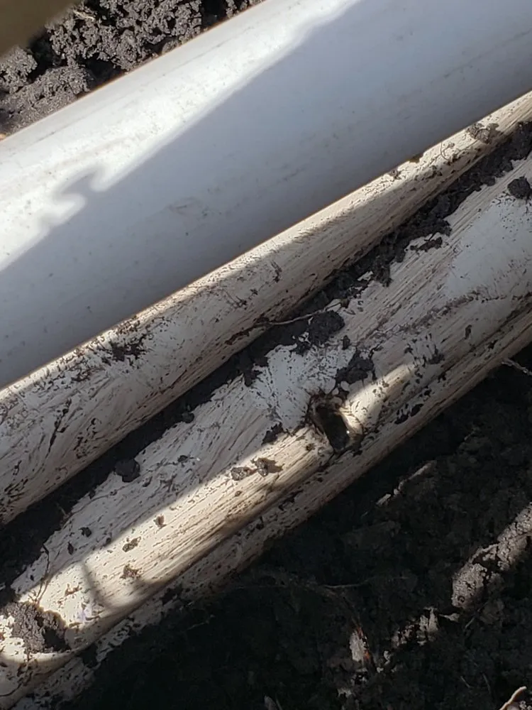 Local landscape installation for outdoor upgrades in Lakeland, FL by Green Arrow Irrigation and Landscaping