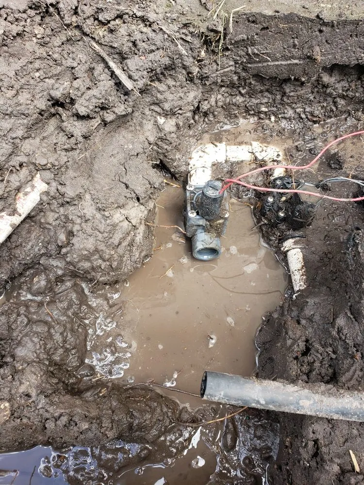 Professional lawn mowing service in Lakeland, FL - Green Arrow Irrigation and Landscaping