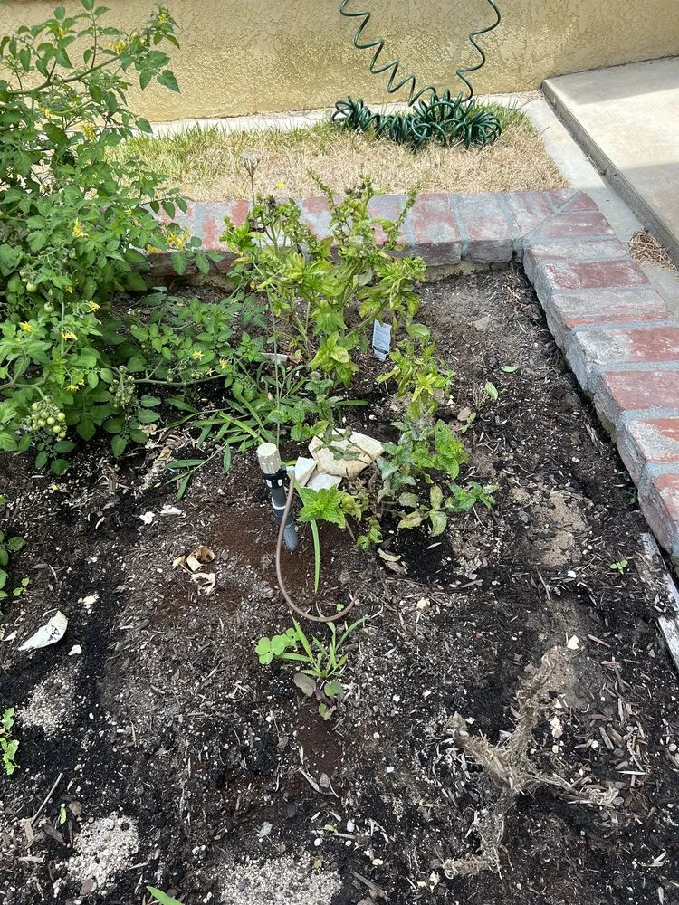 Top-rated garden landscaping in Portland, OR by Green Artisans