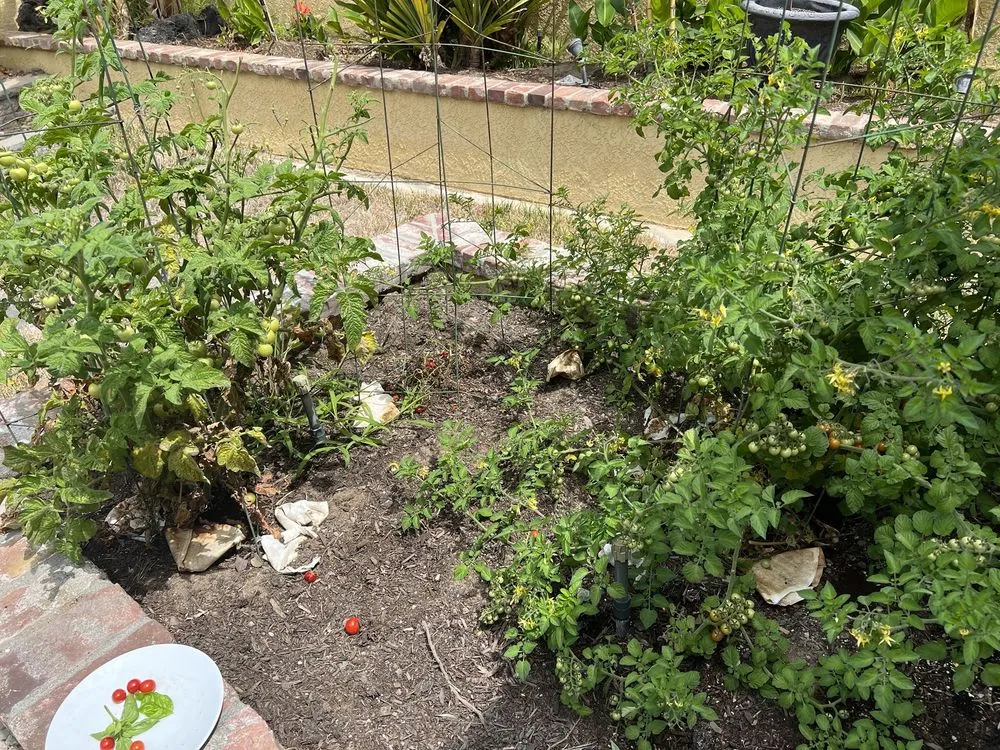 Affordable lawn care service in Portland, OR - Green Artisans