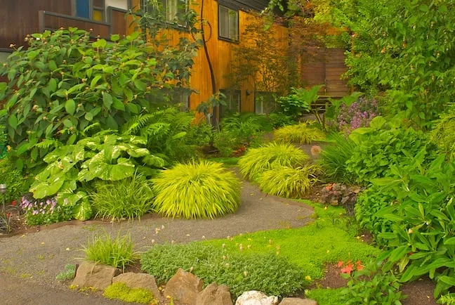Local outdoor landscaping near you across Portland, OR - Green Artisans