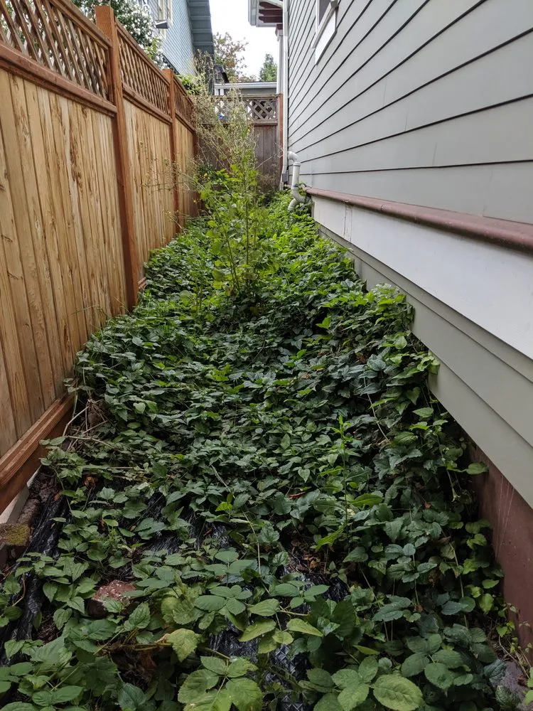 Affordable outdoor landscaping with custom design in Portland, OR by Green Artisans