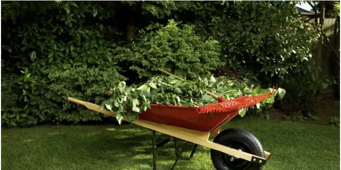 Custom yard cleanup service in Pensacola, FL by Green As Eden