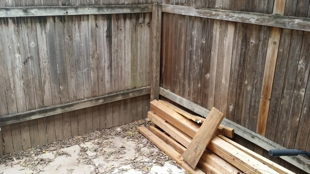 Top-rated yard maintenance for beautiful yards in Austin, TX by Green Austin Lawn Care