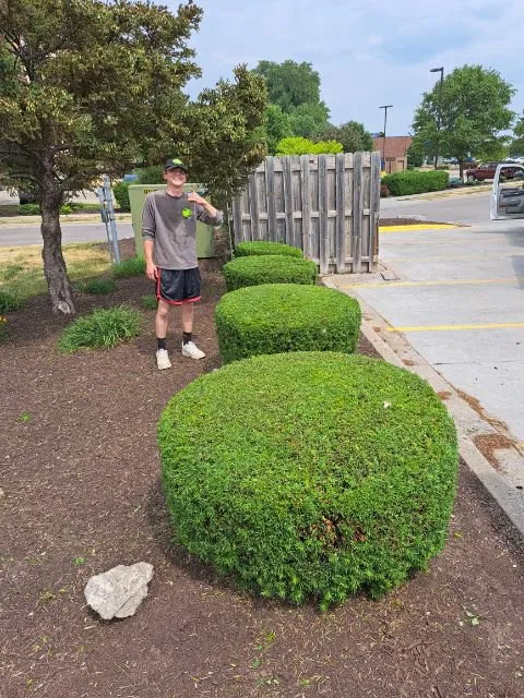 Expert residential landscaping in Cedar Rapids, IA by Green Axis