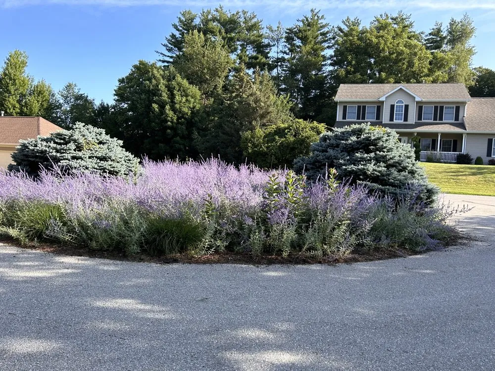 Custom landscape design experts serving Cedar Rapids, IA - Green Axis