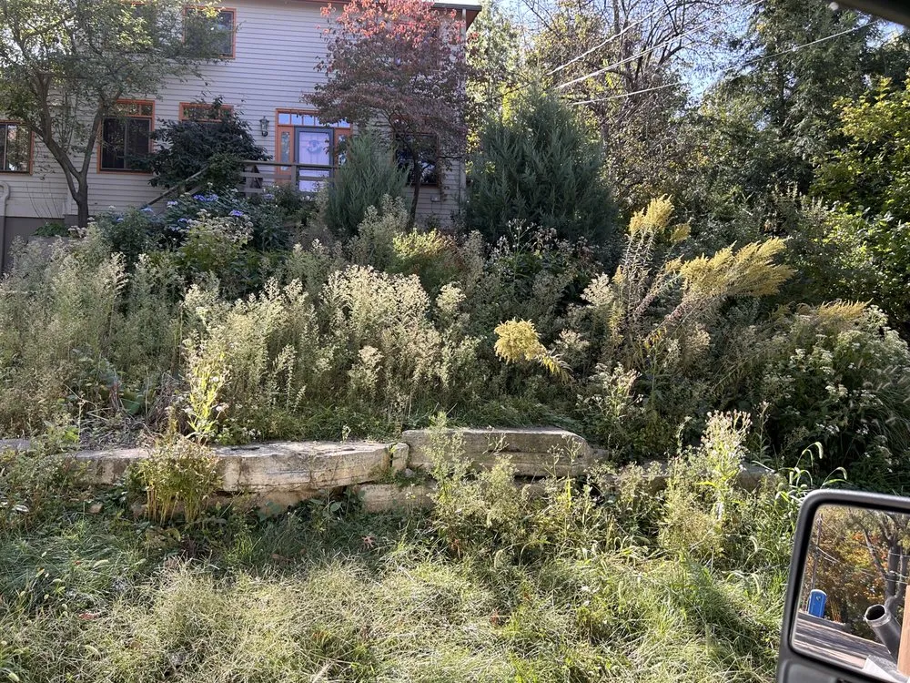 Trusted lawn care service in Cedar Rapids, IA by Green Axis