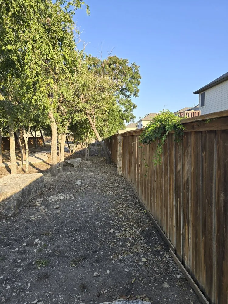 Professional yard cleanup service for year-round maintenance in San Antonio, TX by Green Barber Landscaping