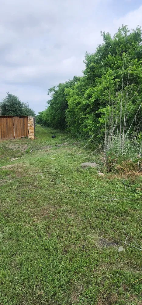 Trusted landscape design experts serving San Antonio, TX - Green Barber Landscaping