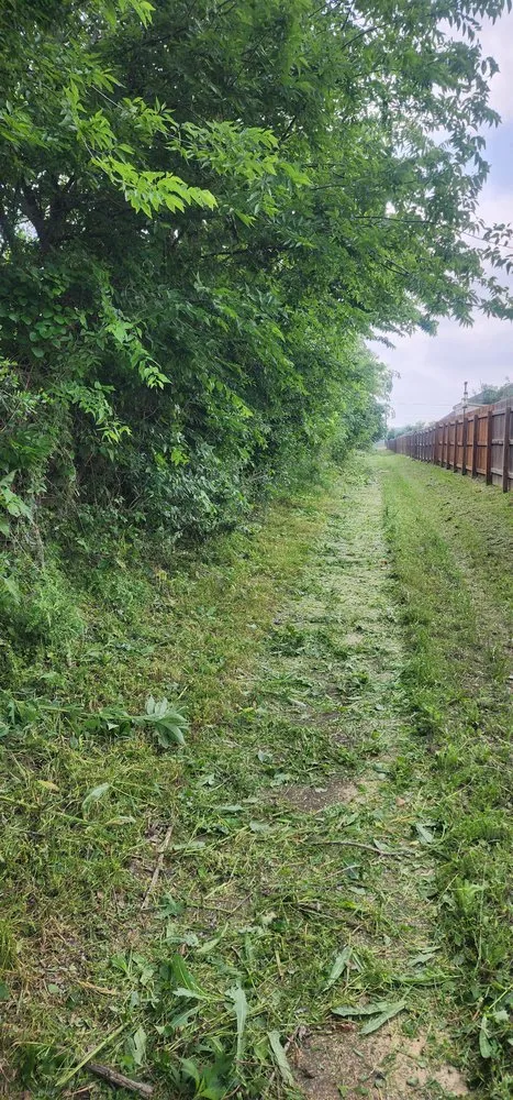 Reliable yard maintenance near you across San Antonio, TX - Green Barber Landscaping