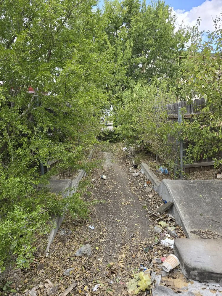 Affordable residential landscaping in San Antonio, TX by Green Barber Landscaping