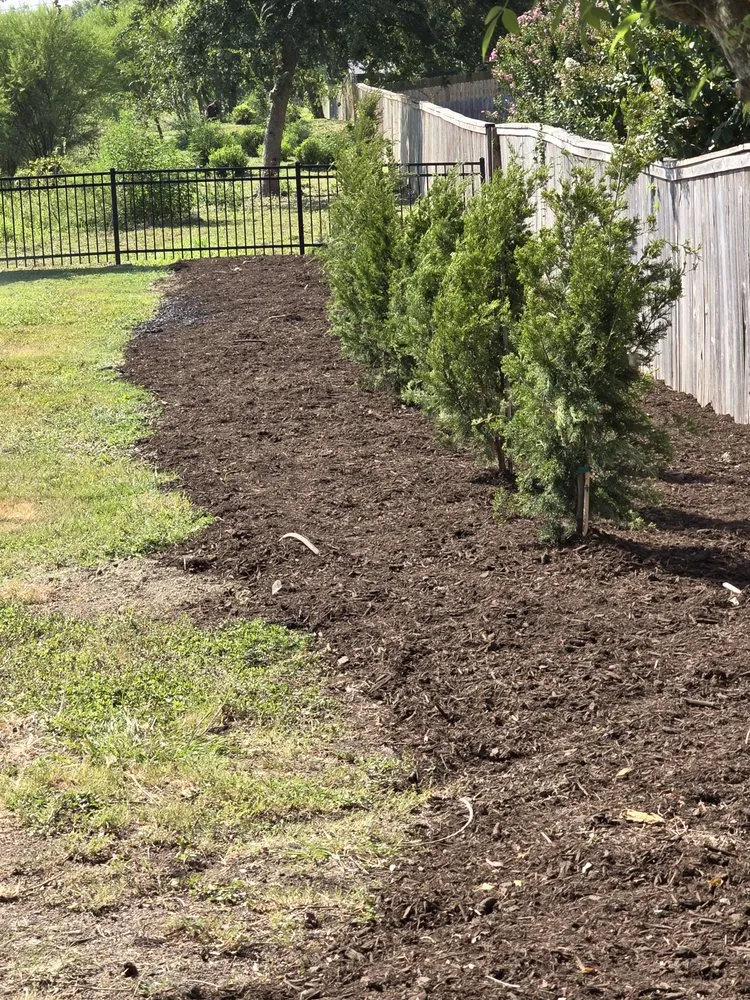 Reliable landscaping services for residential properties in San Antonio, TX by Green Barber Landscaping