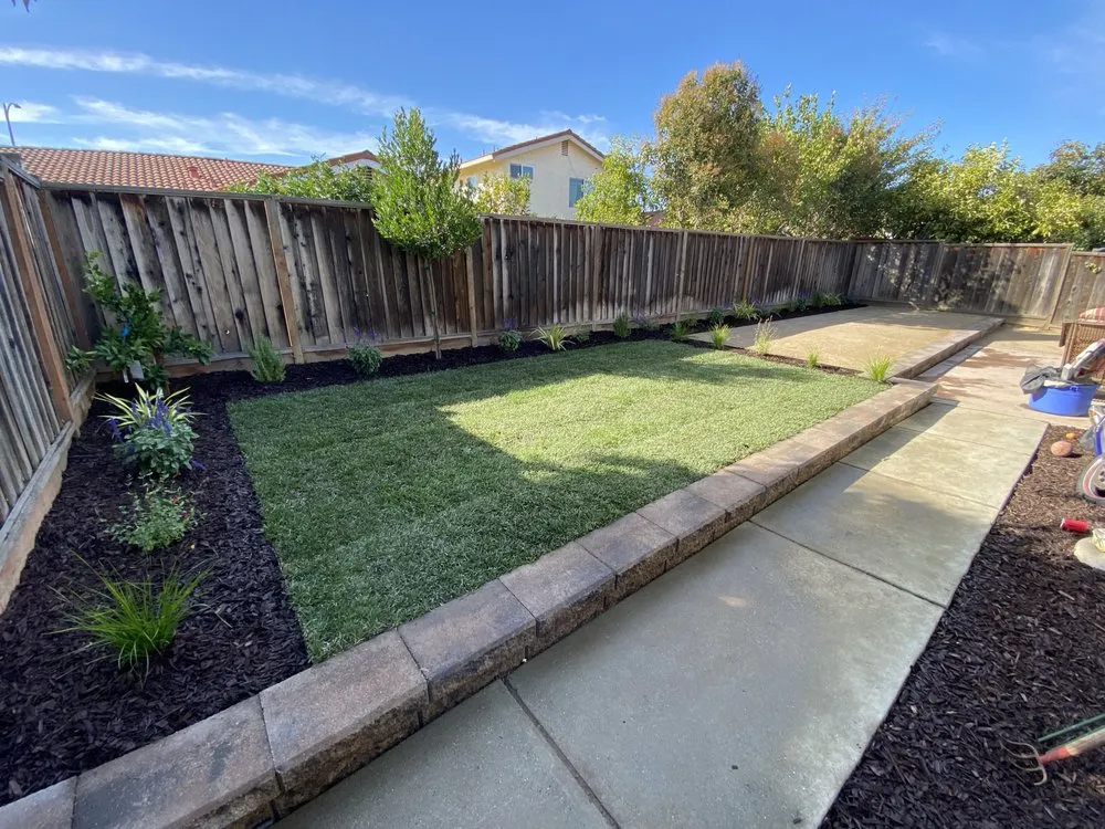 Top-rated yard cleanup service in Redwood City, CA - Green Bay Landscaping