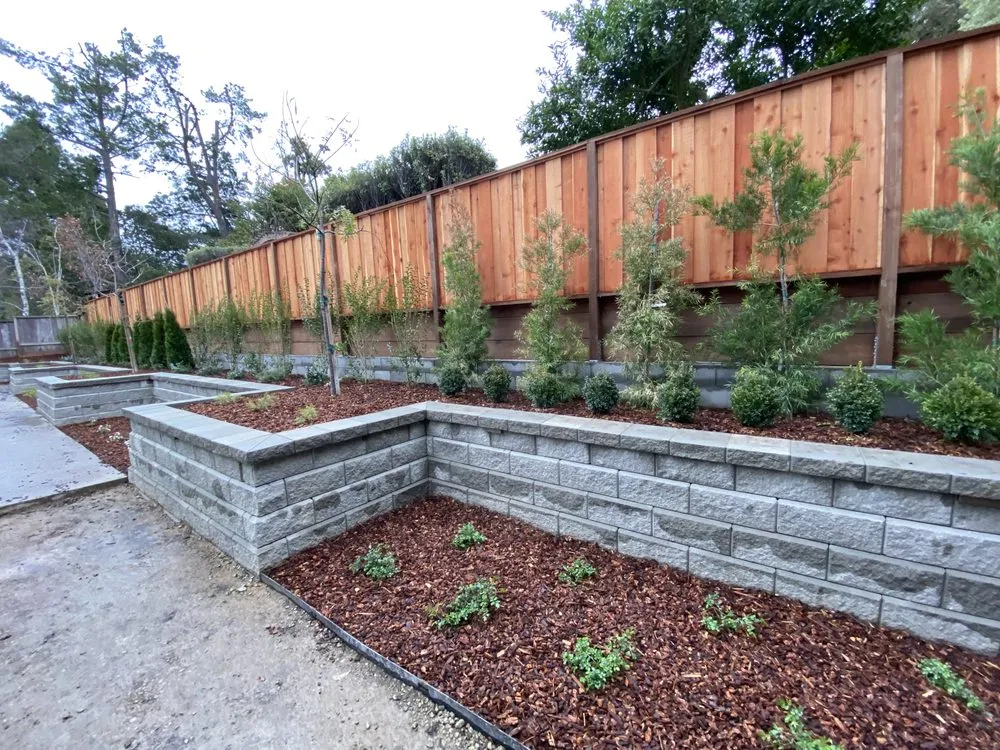 Trusted yard cleanup service experts serving Redwood City, CA - Green Bay Landscaping