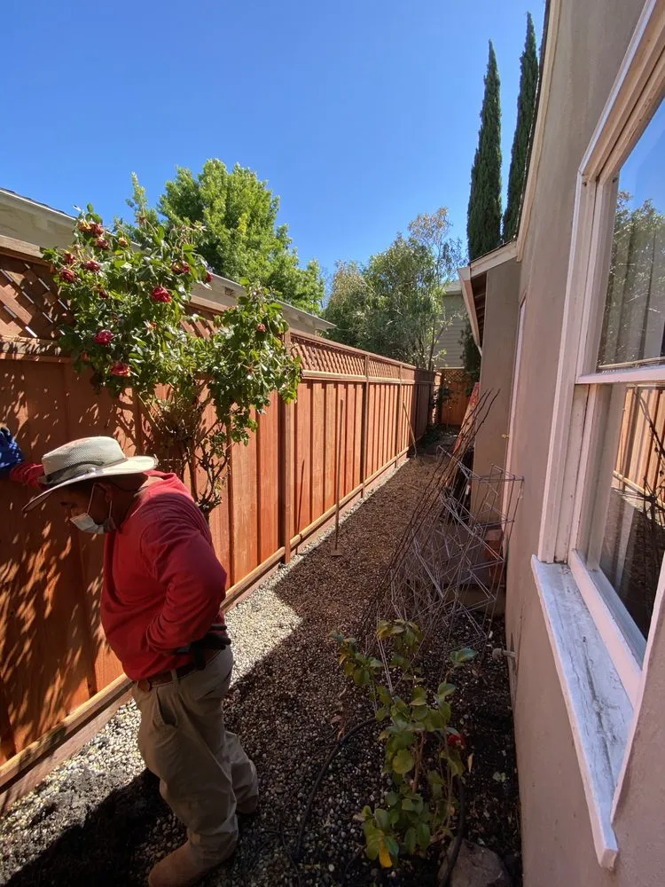 Professional landscaping services experts serving Redwood City, CA - Green Bay Landscaping