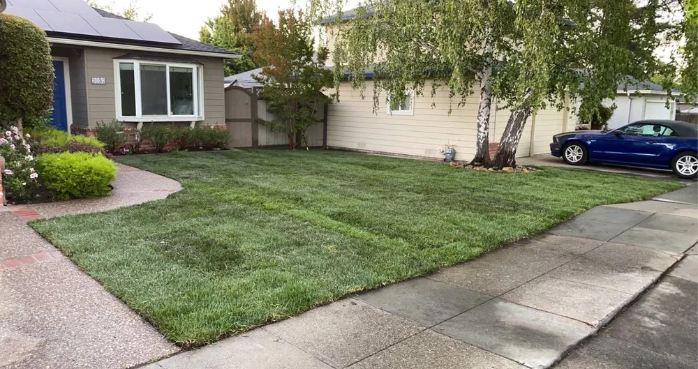Professional yard cleanup service with custom design across Redwood City, CA - Green Bay Landscaping
