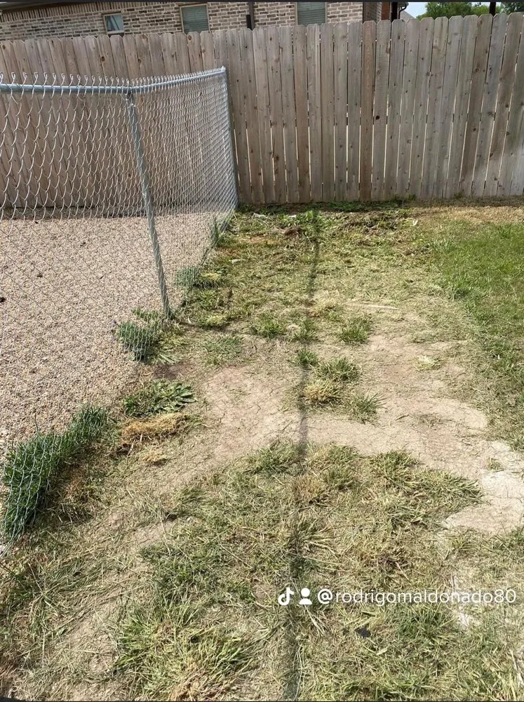 Professional outdoor landscaping for outdoor upgrades across Temple, TX - Green Beast Lawn Care