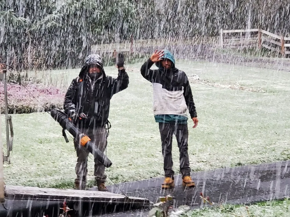 Trusted landscaping services for year-round maintenance across Oregon City, OR - Green Bee Landscape Maintenance LCB 9900