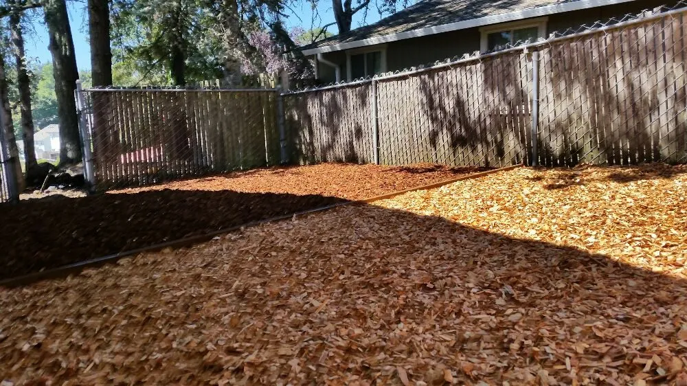 Top-rated landscape design in Oregon City, OR - Green Bee Landscape Maintenance LCB 9900