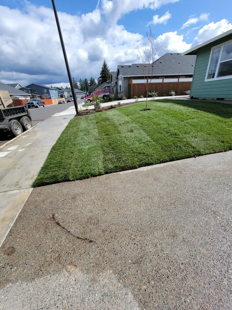 Top-rated landscaping services for residential properties across Oregon City, OR - Green Bee Landscape Maintenance LCB 9900