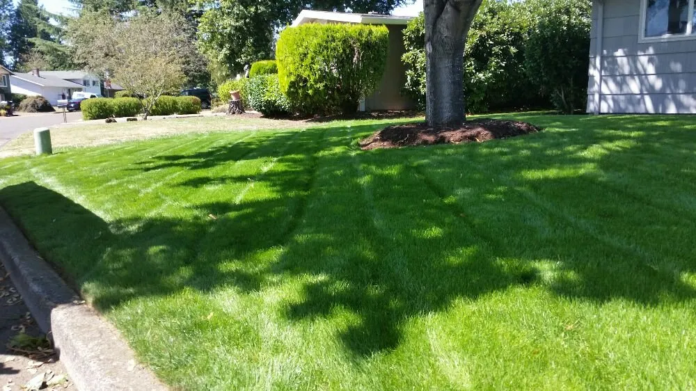 Reliable garden landscaping experts serving Oregon City, OR - Green Bee Landscape Maintenance LCB 9900