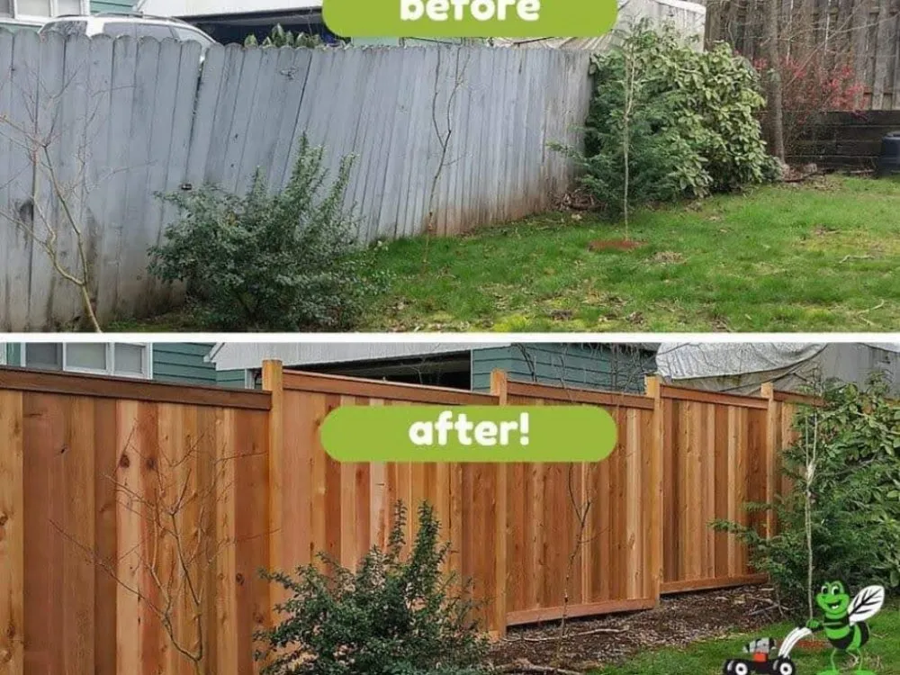 Affordable yard maintenance near you in Oregon City, OR by Green Bee Landscape Maintenance LCB 9900