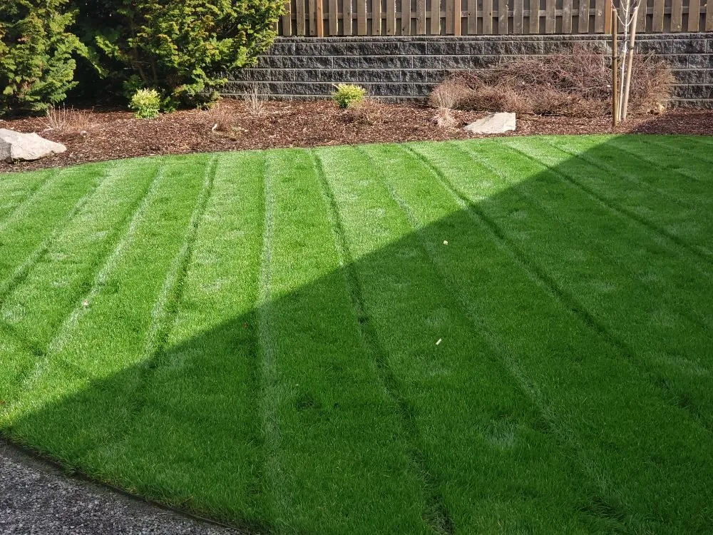 Local lawn mowing service for year-round maintenance across Oregon City, OR - Green Bee Landscape Maintenance LCB 9900