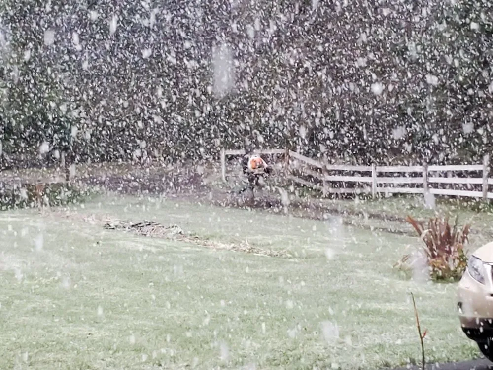 Reliable residential landscaping for homes across Oregon City, OR - Green Bee Landscape Maintenance LCB 9900