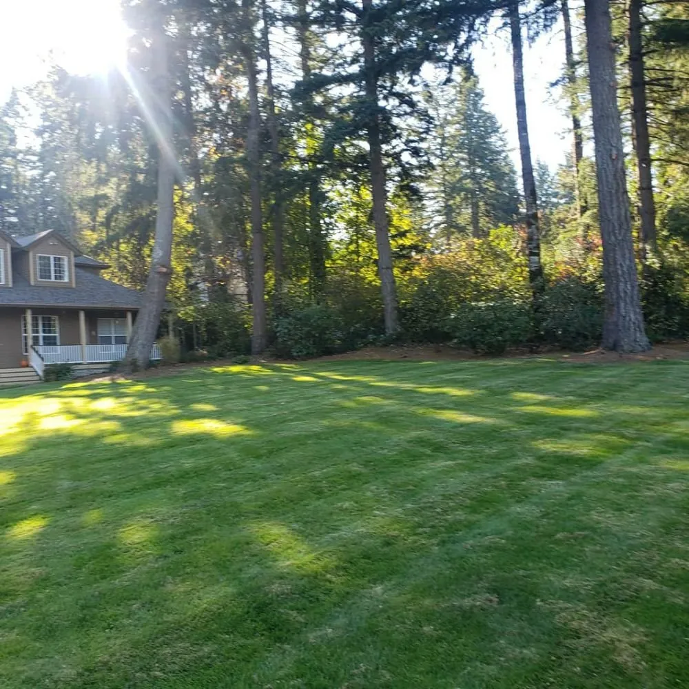 Custom landscape installation for beautiful yards across Oregon City, OR - Green Bee Landscape Maintenance LCB 9900