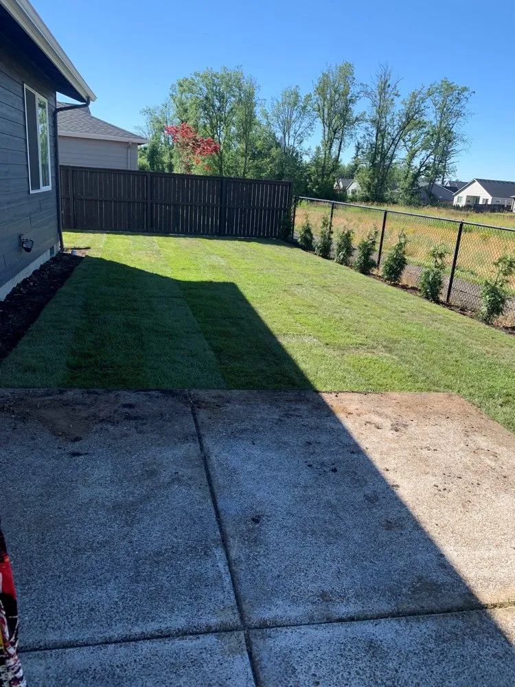Reliable yard maintenance experts serving Oregon City, OR - Green Bee Landscape Maintenance LCB 9900