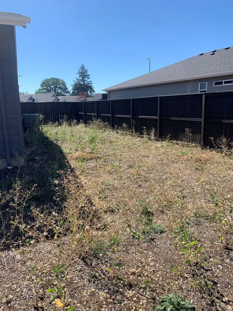 Expert yard cleanup service for residential properties in Oregon City, OR by Green Bee Landscape Maintenance LCB 9900