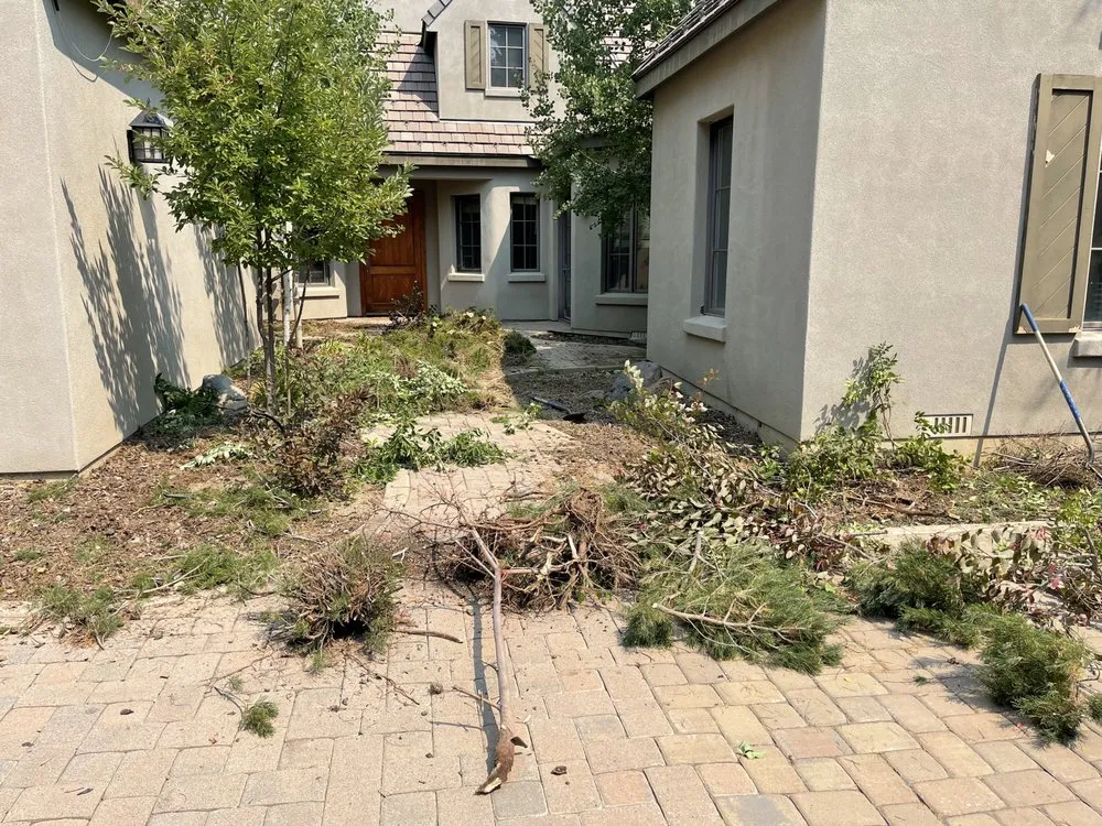 Professional lawn care service for outdoor upgrades in Carson City, NV by Green Bee Lawn and Landscape