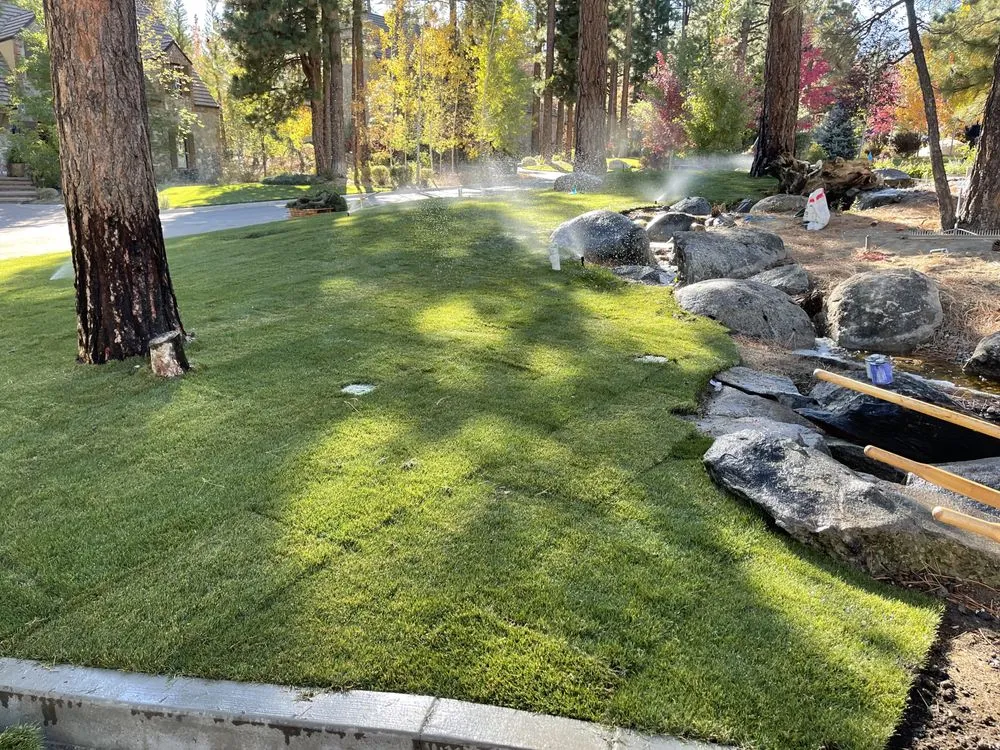 Affordable garden landscaping experts serving Carson City, NV - Green Bee Lawn and Landscape