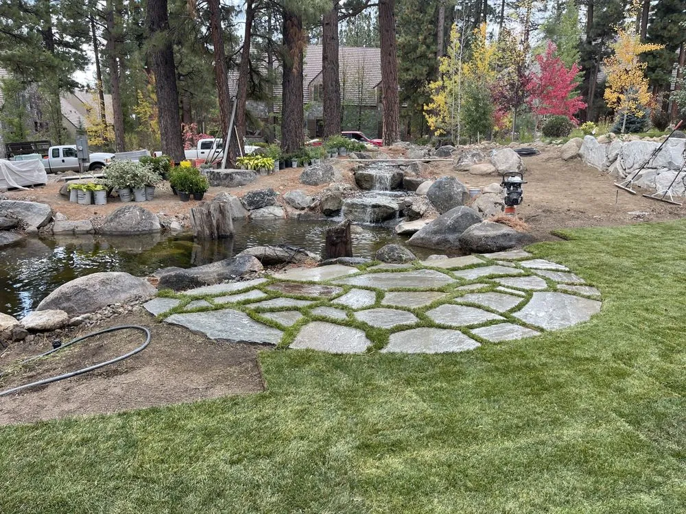 Trusted lawn mowing service experts serving Carson City, NV - Green Bee Lawn and Landscape