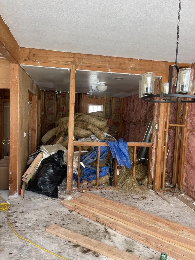 Top-rated outdoor landscaping experts serving Carson City, NV - Green Bee Lawn and Landscape