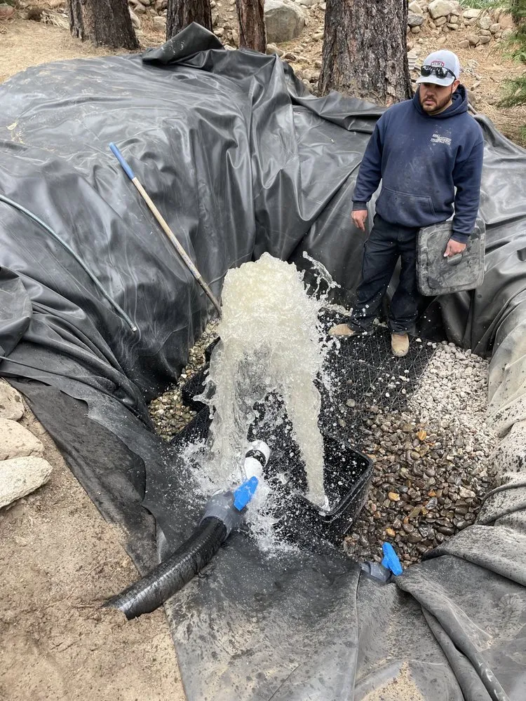 Reliable garden landscaping experts serving Carson City, NV - Green Bee Lawn and Landscape