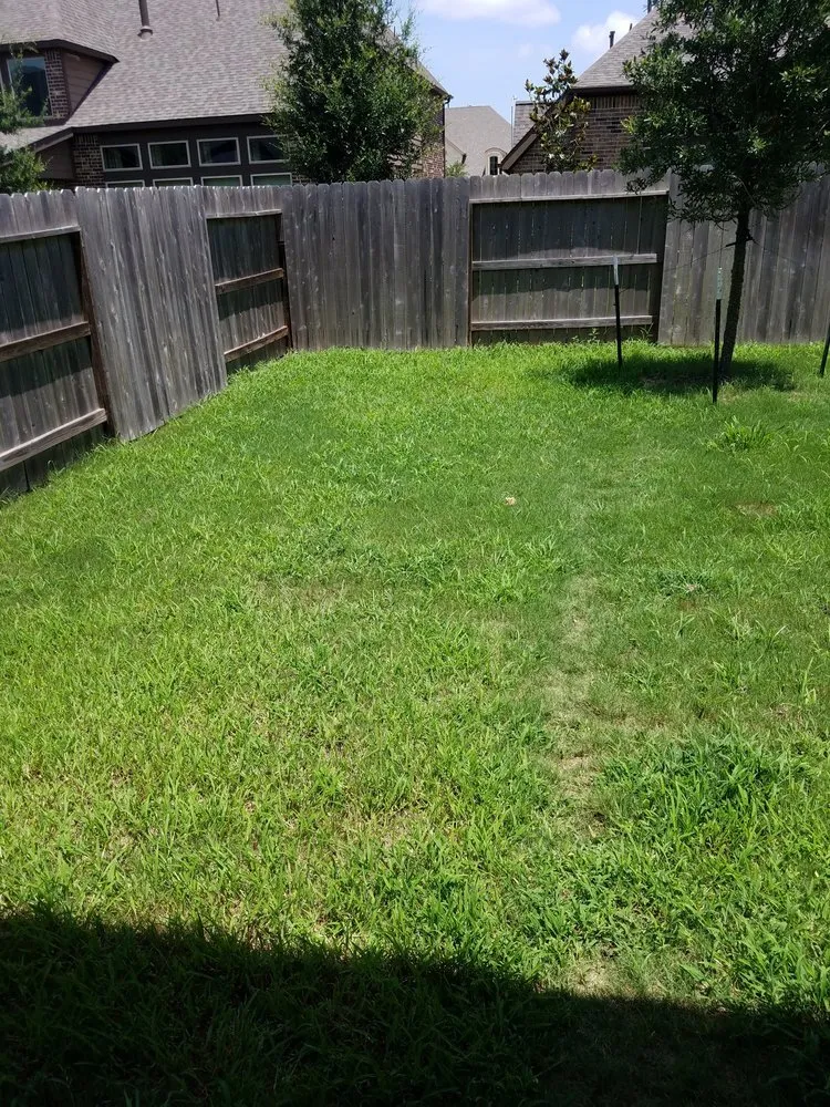 Reliable yard cleanup service in Houston, TX - Green Bee Lawn Care